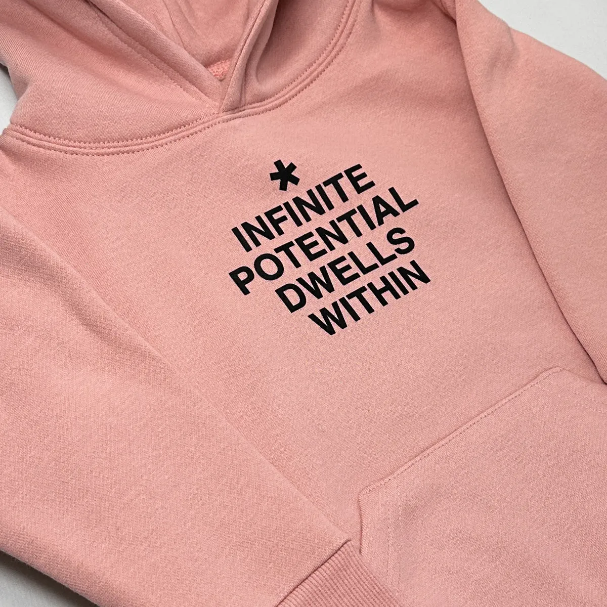 Infinite Potential Hoodie (Salmon)