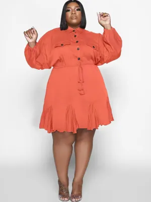 Long Sleeve Solid Color Ruffle Mini Dresses