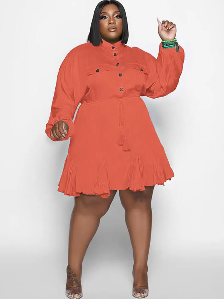 Long Sleeve Solid Color Ruffle Mini Dresses